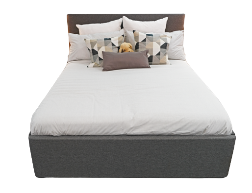 Companion Beds