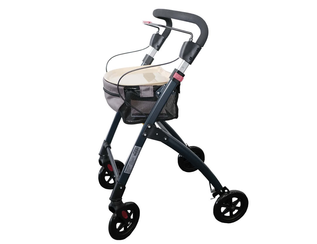 Ellipse Indoor Walker